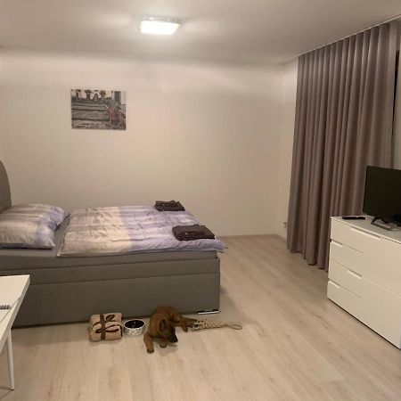 Modern Apartment In The City Center Plzeň Dış mekan fotoğraf