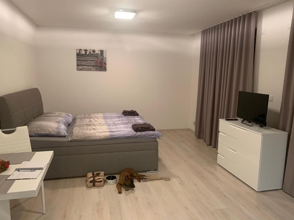Modern Apartment In The City Center Plzeň Dış mekan fotoğraf